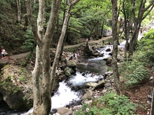 伊達政宗に会いたくて_d0176793_09124046.jpeg