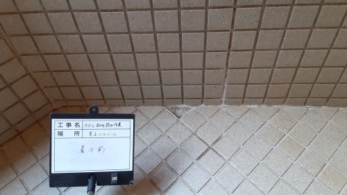 【現場レポート】タイル目地詰め作業_d0176793_11344381.jpg