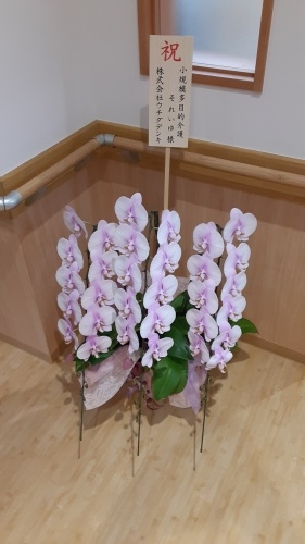 木造新築工事⑤~竣工式_d0176793_11441919.jpg