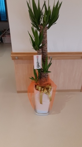 木造新築工事⑤~竣工式_d0176793_11444029.jpg
