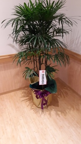 木造新築工事⑤~竣工式_d0176793_11445835.jpg