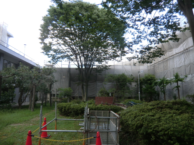 【現場レポート】天清寮外壁・屋上防水改修工事_d0176793_11501220.jpg
