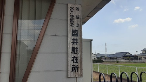 種まきの時期_d0176793_12222457.jpg
