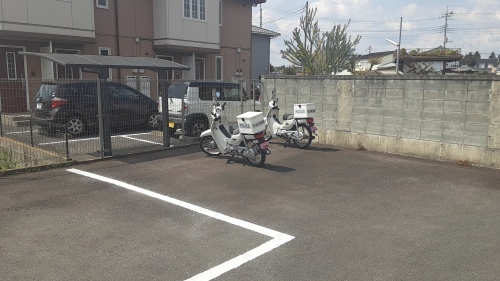 種まきの時期_d0176793_12250358.jpg