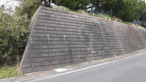 種まきの時期_d0176793_12271614.jpg
