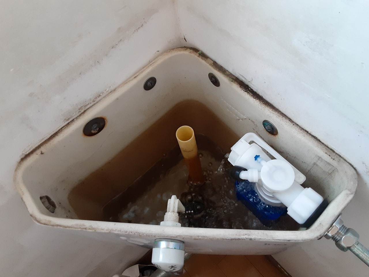 【現場レポート】トイレボールタップ交換作業_d0176793_15331171.jpg