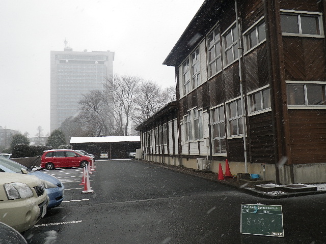 【現場レポ】 茨城森林監督署建築改修工事が完工しました_d0176793_15363128.jpg