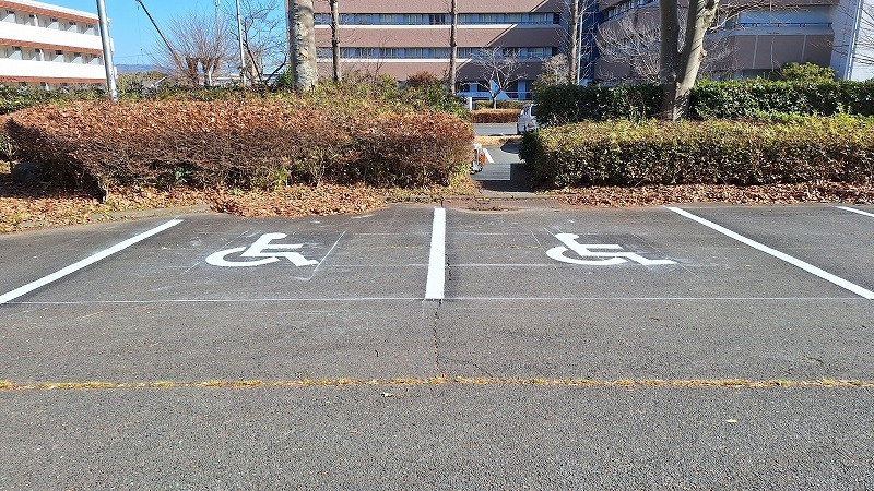 駐車場白線引き_d0176793_18565367.jpg