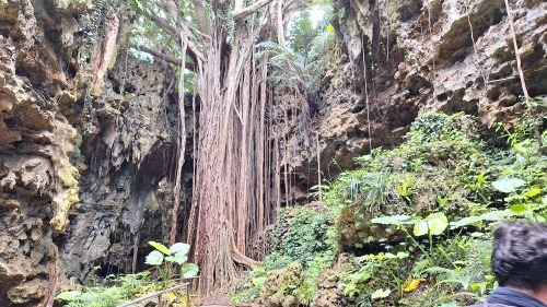研修旅行_d0176793_19165115.jpg