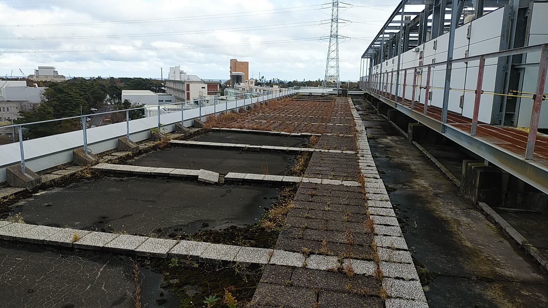 屋上防水工事_d0176793_22025123.jpg
