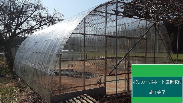 【現場レポート】パイプハウス修繕_d0176793_23260021.jpg