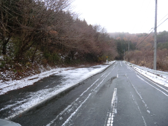 天気悪いっすね～_d0176793_839172.jpg